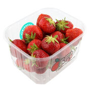 Aardbeien  232x176