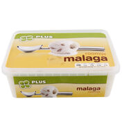Roomijs malaga  232x176