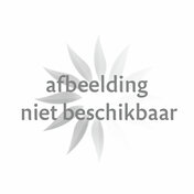 Chocolade kerststerren melk/wit/puur  232x176